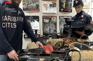 Sequestrate borse di pitone: Carabinieri Forestali sanzionano 2 persone nel Fermano